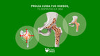 Prolia 60 mg/mL Solución Inyectable (Denosumab)
